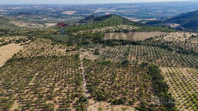 Cascina/Casale - Noto