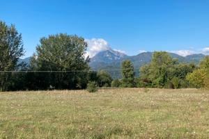 Terreno edificabile Barga