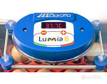 Incubatrice Borotto expert