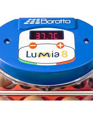 Incubatrice Borotto expert