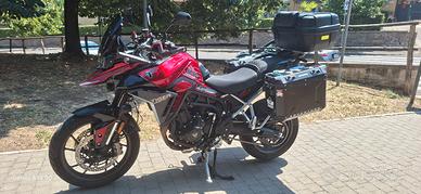 Triumph Tiger GT 900 stupenda