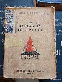 La Battaglia del Piave