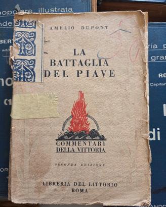 La Battaglia del Piave