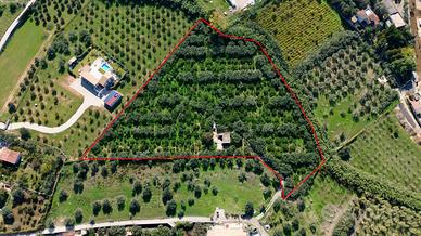 Terreno con magazzino a Partinico, Cda Principe