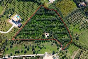 Terreno con magazzino a Partinico, Cda Principe