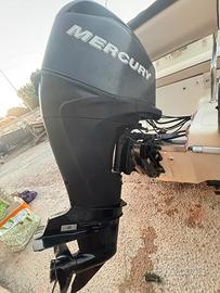 Mercury 40 CV EFI FourStroke (2009) - Sole 350 Ore