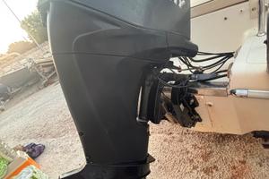 Mercury 40 CV EFI FourStroke (2009) - Sole 350 Ore