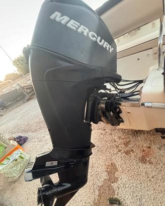 Mercury 40 CV EFI FourStroke (2009) - Sole 350 Ore
