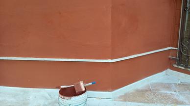 effettuo  lavori  di  muratura e  pittura