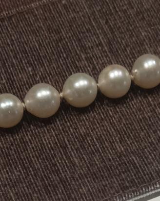 filo di perle akoya