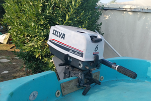 Motore marino sea bass 6cv