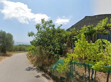 Terreno in Cilento con deposito