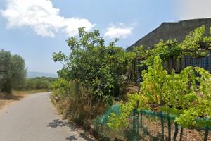 Terreno in Cilento con deposito