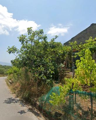 Terreno in Cilento con deposito