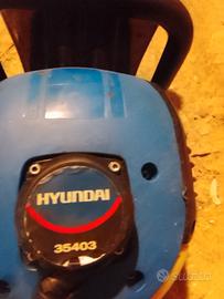 tagliasiepi hunday a scoppio 