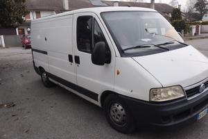 Fiat ducato 2.3  160 CV  L2H1