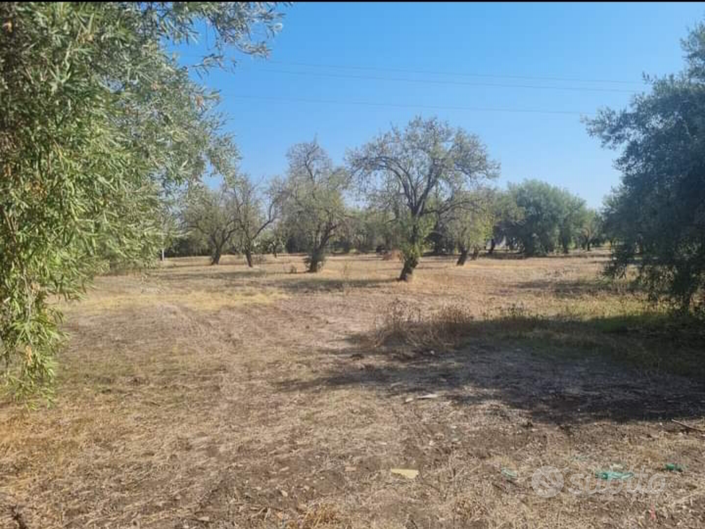 1 Terreno con Casetta - Vista 6