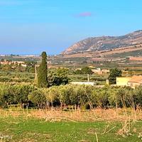Terreno agricolo- Crocci- Valderice