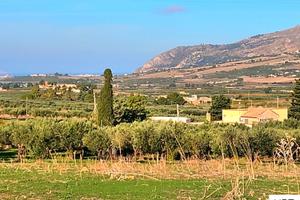 Terreno agricolo- Crocci- Valderice