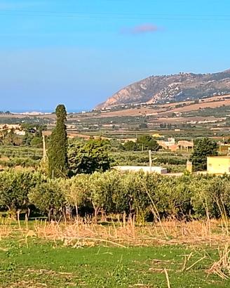 Terreno agricolo- Crocci- Valderice