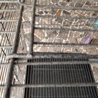 gabbia per pappagalli su piedistallo con rotelle 