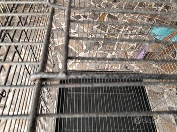 gabbia per pappagalli su piedistallo con rotelle 