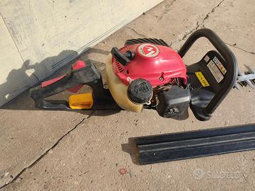 TAGLIA SIEPE A MOTORE