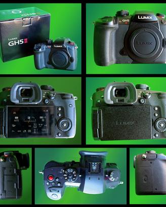 PANASONIC GH5 II + OTTICHE 