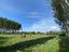 Immagine 8