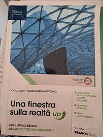 UNA FINESTRA SULLA REALTA' UP - Libro di diritto