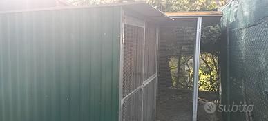 gabbia per animali ( galline, volatili)