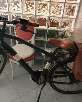bicicletta elettrica 