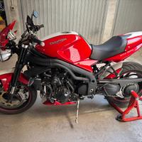 Triumph speed triple 1050 SE