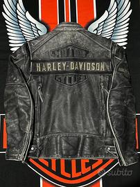 Giubbotto in pelle tg L Harley Davidson Stupendo