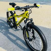 Scott scale 20” yellow anno 2021