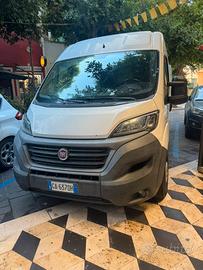 Ducato