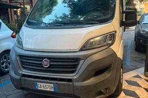 Ducato