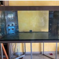 Acquario  pesci 