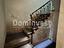 Immagine 12