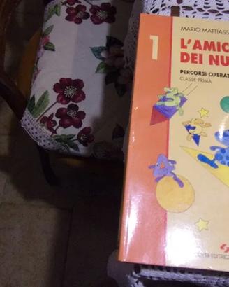 Kit 2 Guide didattiche scuola primaria matematica