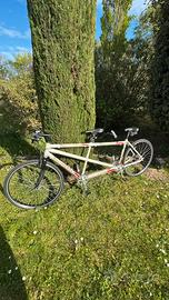 Tandem professionale