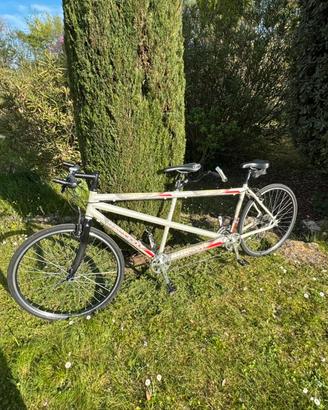 Tandem professionale