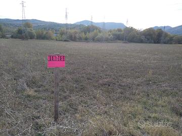 Agro seminativo