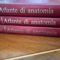 Atlante di Anatomia Sobotta