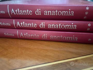 Atlante di Anatomia Sobotta