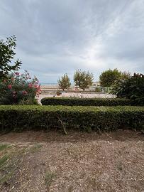 Anzio 3+2 riviera Zanardelli 1000