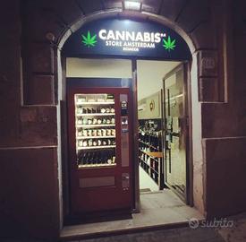 3 attività commerciali cannabis shop negozio + h24