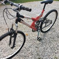Bicicletta rampichino 