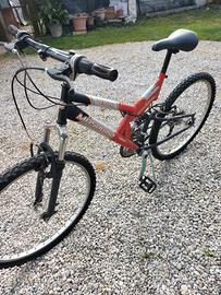 Bicicletta rampichino 