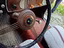 Immagine 12